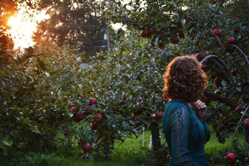 Spring Orchard Care Tips for a Healthy Harvest