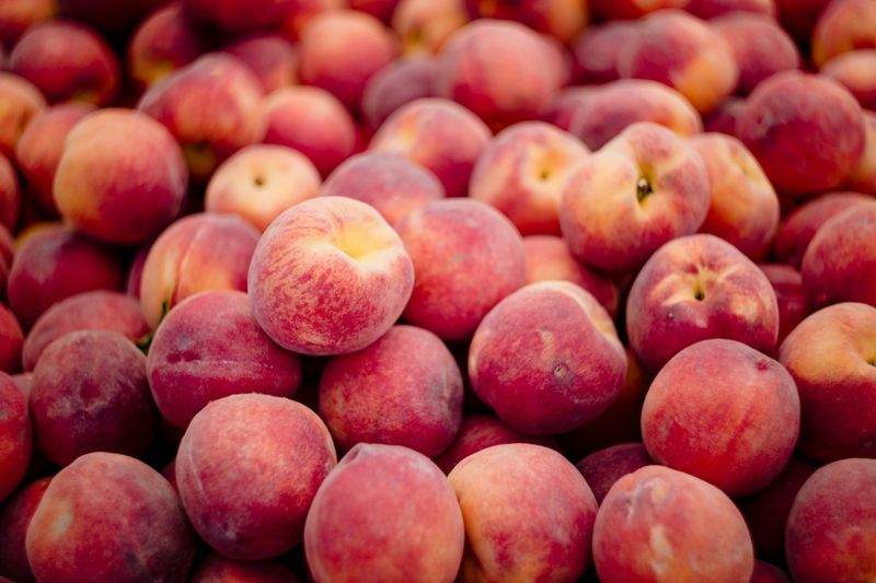Greenbough Orchard Services 4